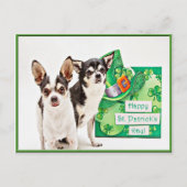 Der St. Patrick's Day Chihuahua Postkarte (Vorderseite)