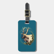 Der Stag und die Hinten