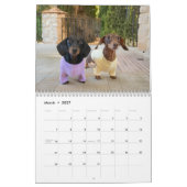 Der Starbox Dachshunds Kalender 2026 (Mär 2027)