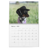 Der Starbox Dachshunds Kalender 2026 (Feb 2027)