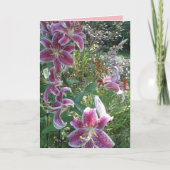 Der Stargazer-Lilien der Schwester, sentimental Karte (Vorderseite)