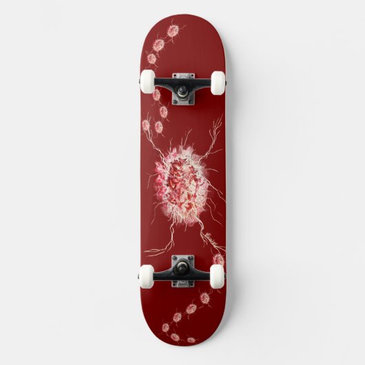 Der Steinschleifer Skateboard (Vorderseite)