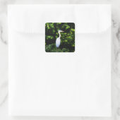 Der Sticker für den weißen Vogel (Tasche)