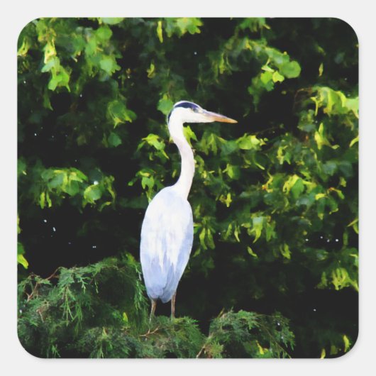 Der Sticker für den weißen Vogel (Vorderseite)