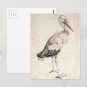 Der Storch von Albrecht Durer Postkarte (Vorne/Hinten)