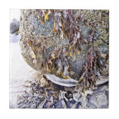 DER STRAND FLIESE (Vorderseite)