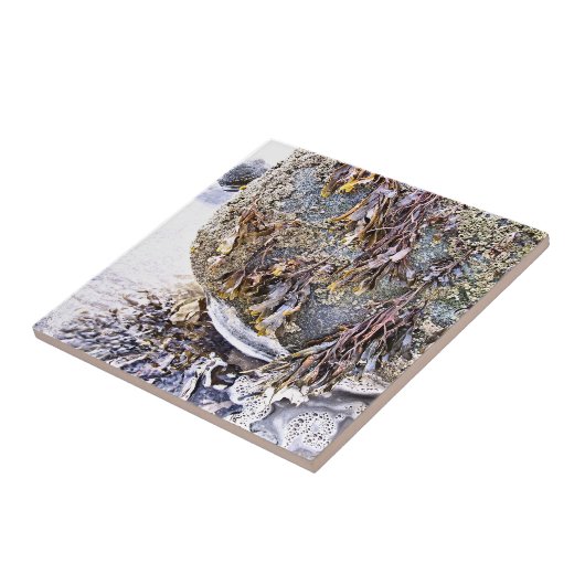 DER STRAND FLIESE (Seite)