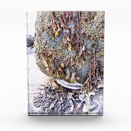 DER STRAND FOTOBLOCK (Vorderseite)