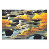 DER STRAND FOTODRUCK (Vorne)