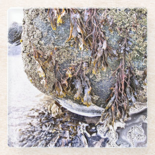 DER STRAND GLASUNTERSETZER