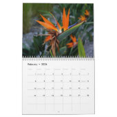 DER STRAND KALENDER (Feb 2026)