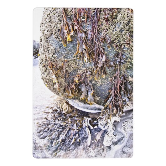 DER STRAND MINI KLEMMBRETT (Rückseite)