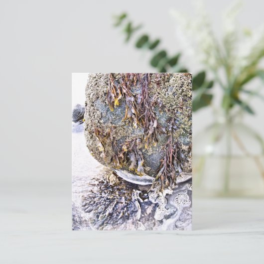 DER STRAND POSTKARTE (Stehend Vorderseite)