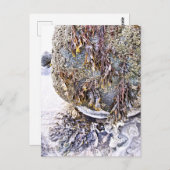 DER STRAND POSTKARTE (Vorne/Hinten)