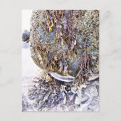 DER STRAND POSTKARTE (Vorderseite)