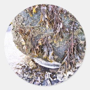 DER STRAND RUNDER AUFKLEBER