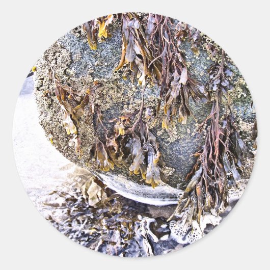 DER STRAND RUNDER AUFKLEBER (Vorderseite)