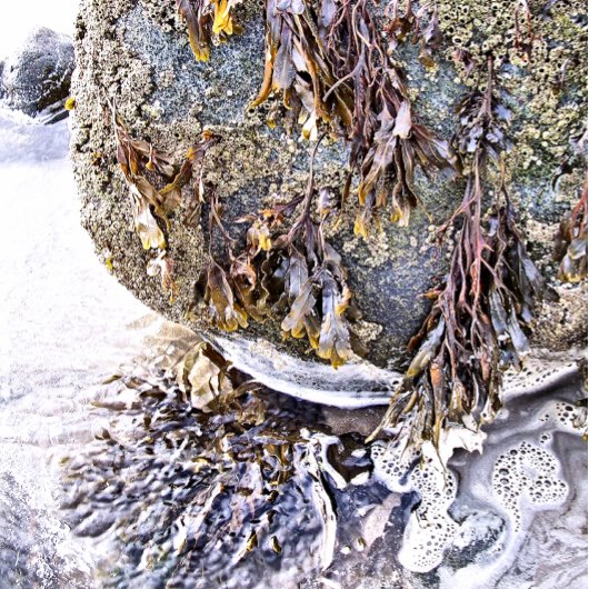 DER STRAND SPIELKARTEN