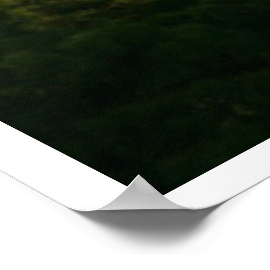 Der Strand von Corolla Poster (Ecke)