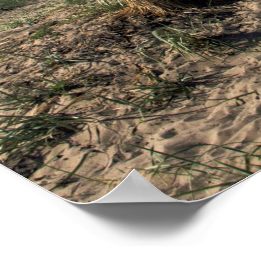 Der Strand von Troon Scotland Postcard Poster (Ecke)