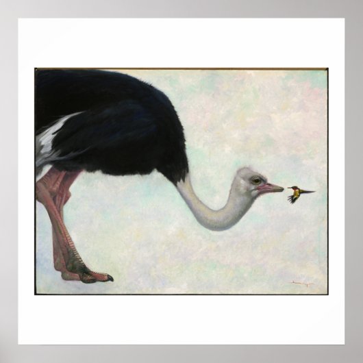 Der Strauß und der Hummingvogel von Bryn Barnard Poster (Vorne)