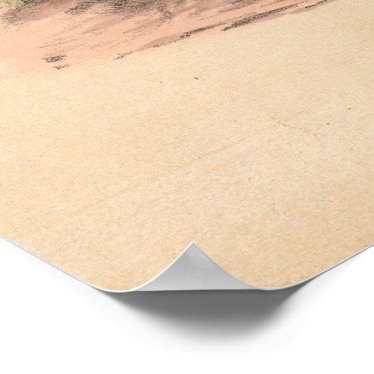 Der Strauß von Joseph Wolf Poster (Ecke)