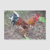 Der Stud (außer ein Huhn) Seidenpapier (Vorderseite)