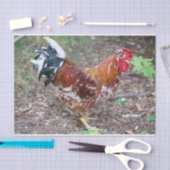 Der Stud (außer ein Huhn) Seidenpapier (Handwerk)