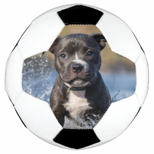 Der stumpfe Welpe, der im Meer schrumpft, Fußball