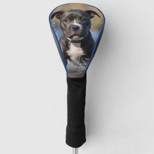 Der stumpfe Welpe, der im Meer schrumpft, Golf Headcover