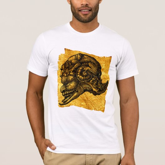 Der Sturzhelm des Ritters T-Shirt (Vorderseite)