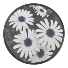 Der subtile Kontrast der Natur Eishockey Puck