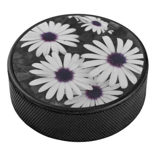 Der subtile Kontrast der Natur Eishockey Puck (3/4)