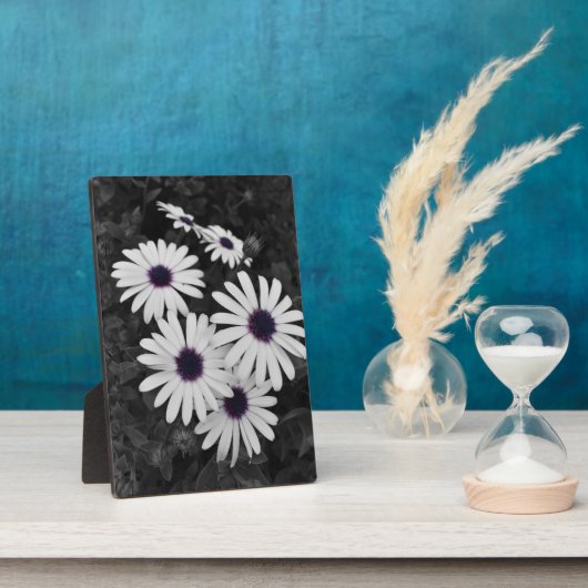 Der subtile Kontrast der Natur Fotoplatte (Seite)