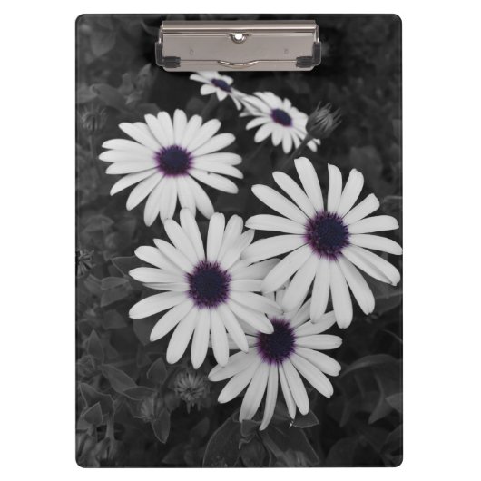 Der subtile Kontrast der Natur Klemmbrett (Vorderseite)