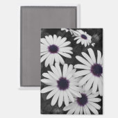 Der subtile Kontrast der Natur Magnet (Vorderseite/Rückseite)