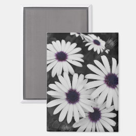 Der subtile Kontrast der Natur Magnet