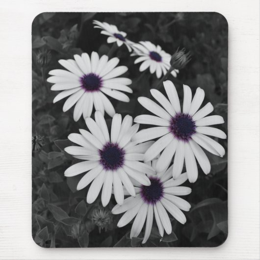 Der subtile Kontrast der Natur Mousepad (Vorne)