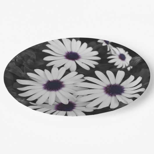 Der subtile Kontrast der Natur Pappteller (Schrägansicht)