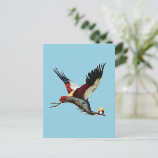 Der südafrikanische Kranich im Mittelflug Postkarte (Stehend Vorderseite)