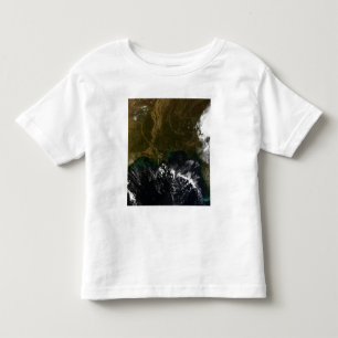 Der Südosten der USA Kleinkind T-shirt