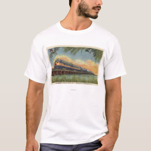 Der Summenvogel-Eisenbahn-Zug T-Shirt