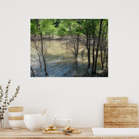 Der Sumpf Poster (Küche)