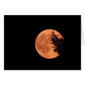 Der Supermond! (Vorderseite (Horizontal))