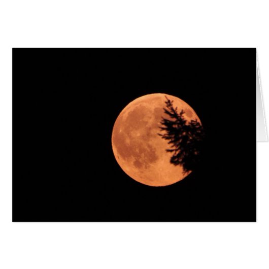 Der Supermond! (Vorderseite (Horizontal))