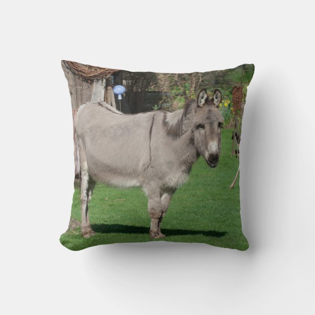 Der süße Donkey im Garten Kissen (Vorderseite)