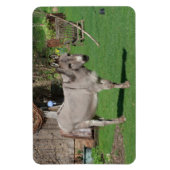 Der süße Donkey im Garten Magnet (Vertikal)