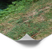 Der süße Donkey im Garten Poster (Ecke)