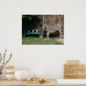 Der süße Donkey im Garten Poster (Küche)