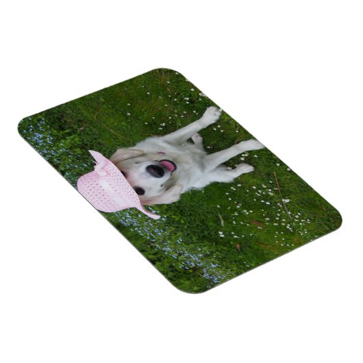 Der süßeste Hund der Welt Magnet (Rechte Seite)